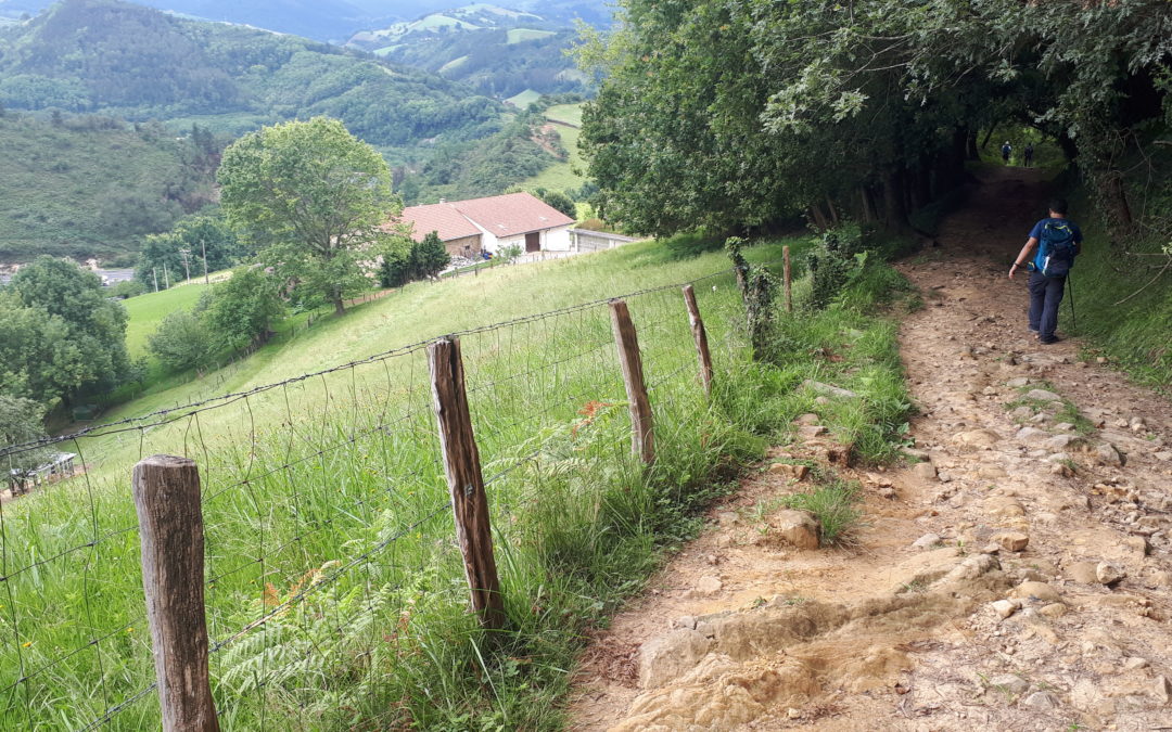 CAMINO DE SANTIAGO